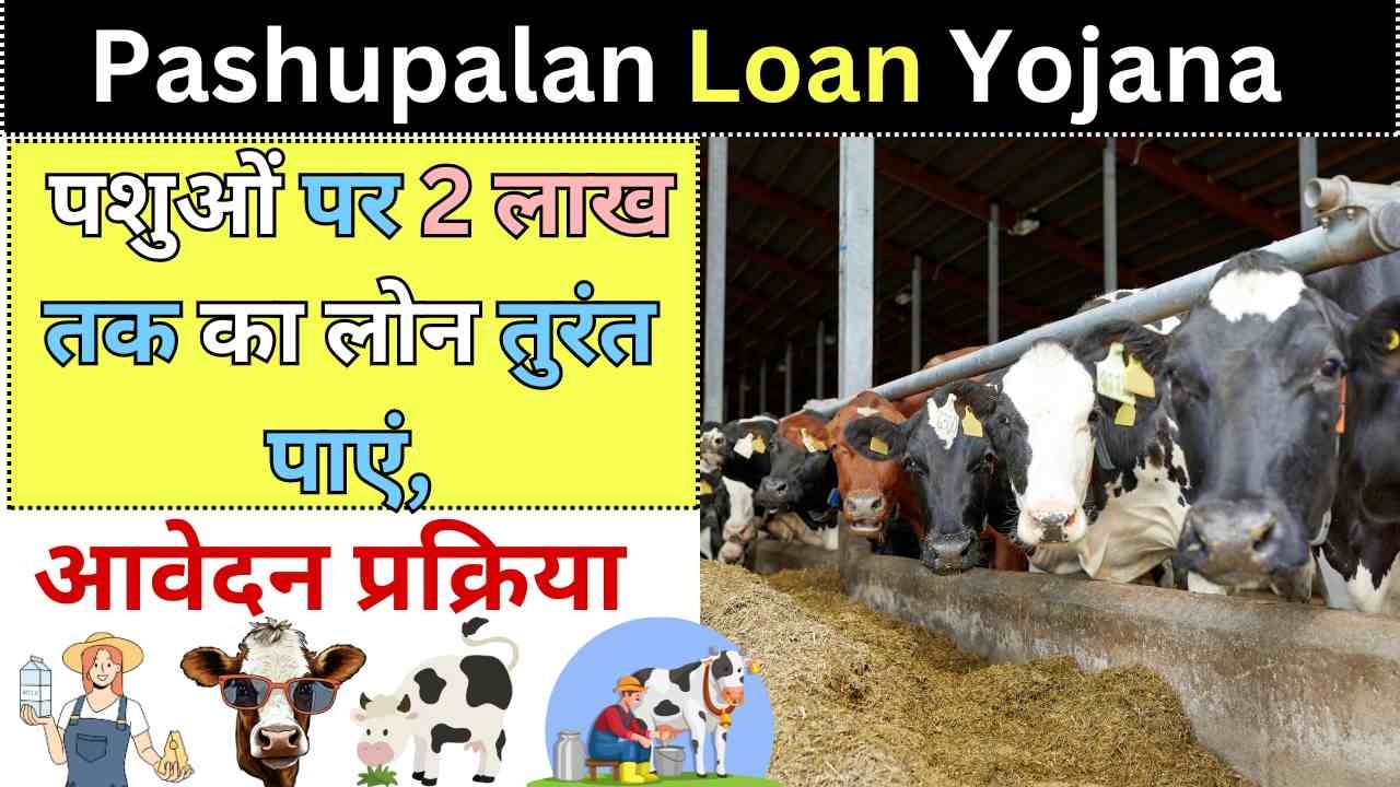 Pashupalan Loan Yojana