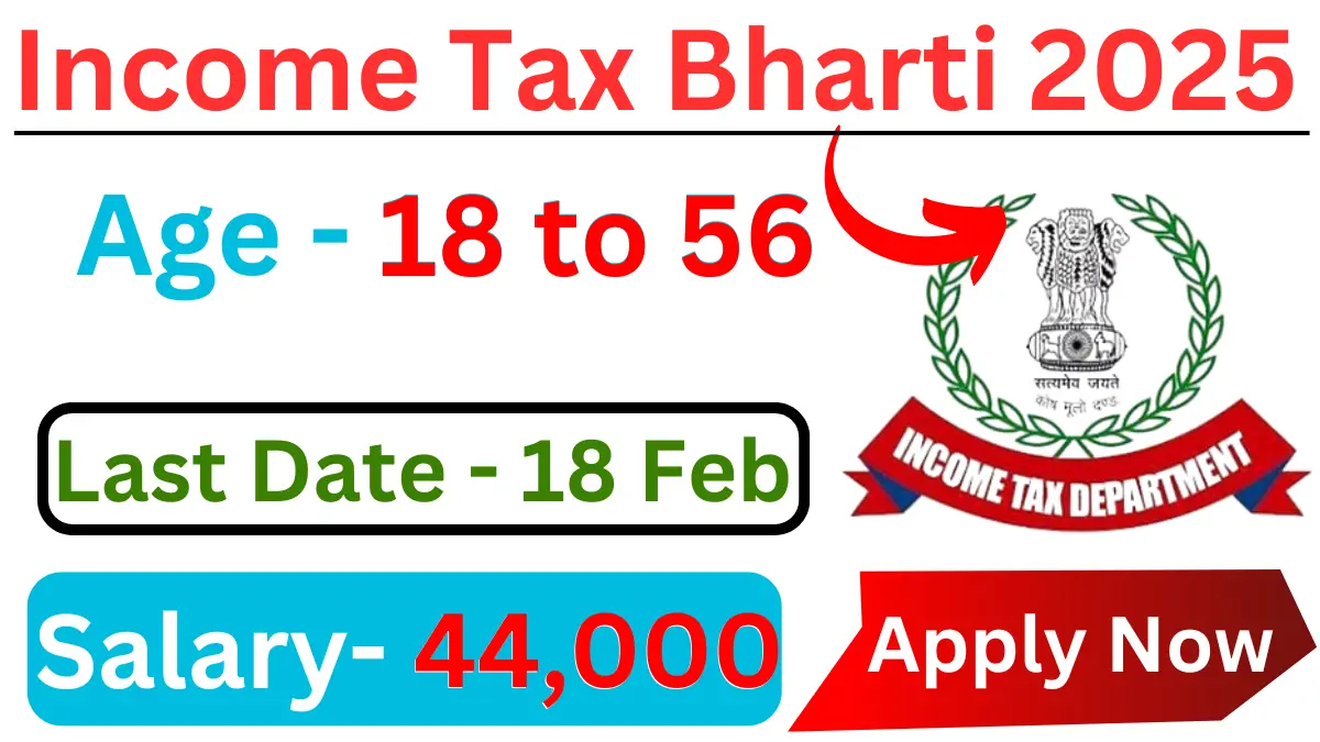 Income Tax Jobs 2025